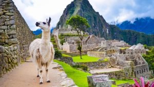 Camino Inca 2 días y 1 noches
